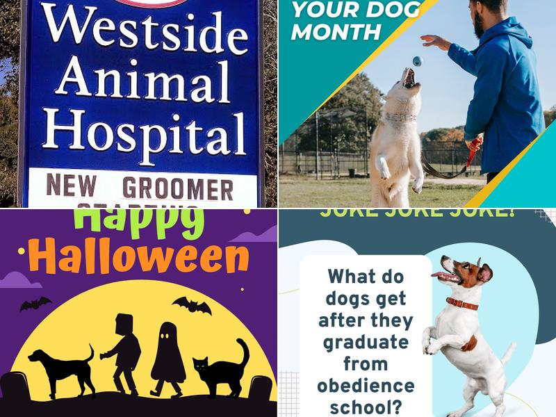 Westside Animal Hospital: Purcell Keith DVM