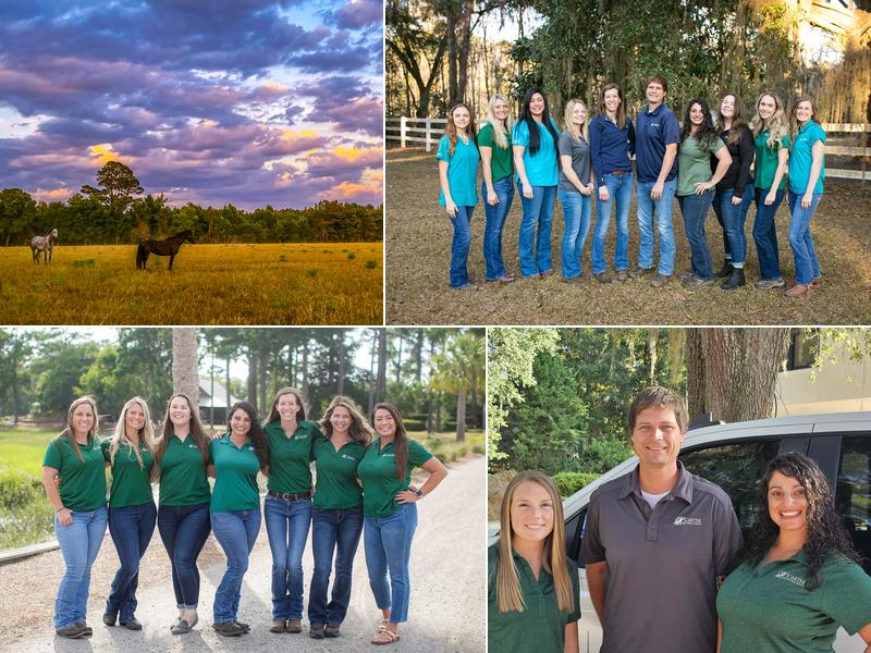 Carter Veterinary Services