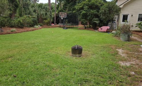 Wilmington Island Animal Hospital