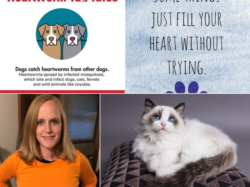 Daniel-Randall Veterinary Clinic: Stevens Paige DVM