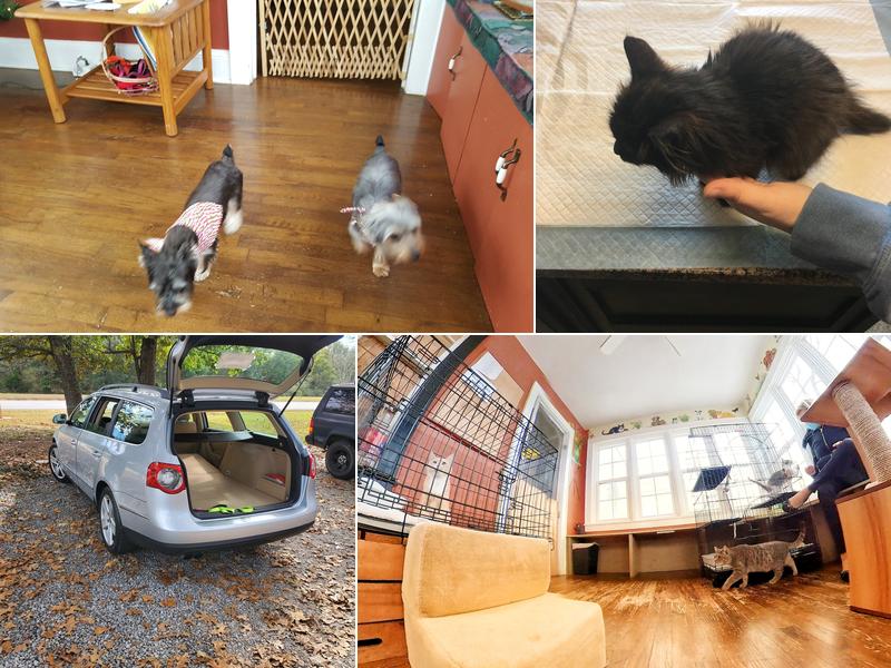 Colbert Animal Hospital