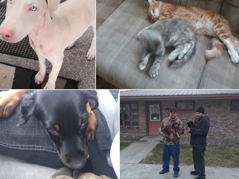 Wayland Veterinary Clinic