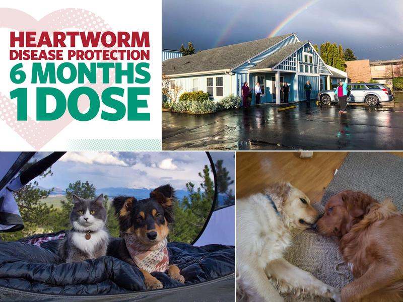 Southgate Animal Clinic: Stemper Tammy DVM