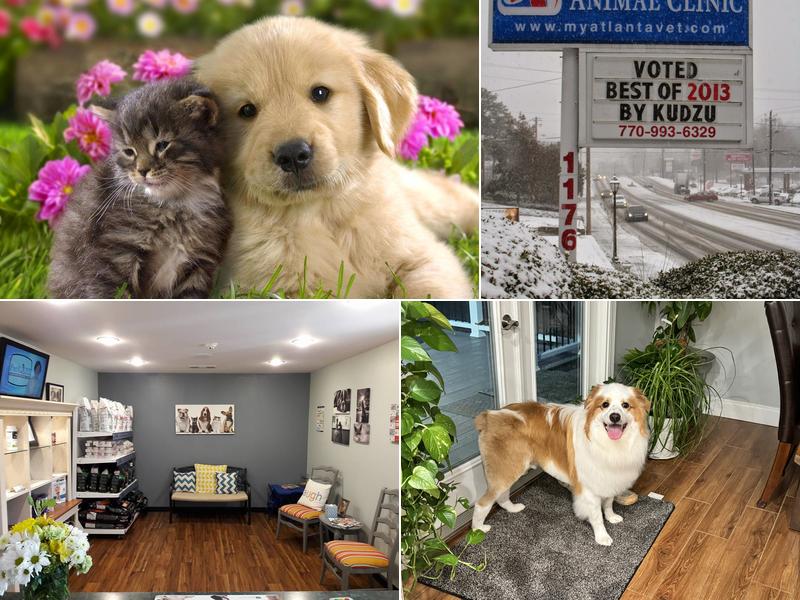 Chattahoochee Animal Clinic