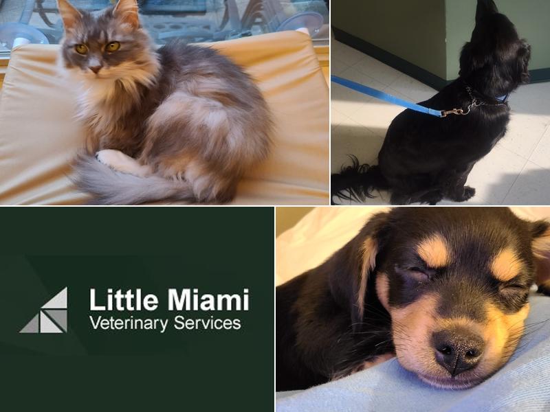 Little Miami Veterinary Services