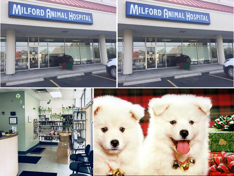 Milford Animal Hospital