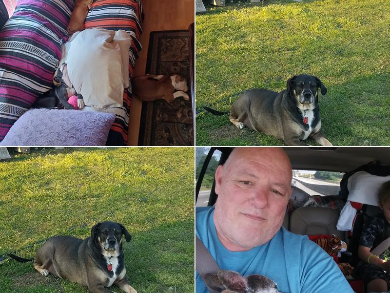 Mt Orab Veterinary Clinic: Hayes Mark DVM