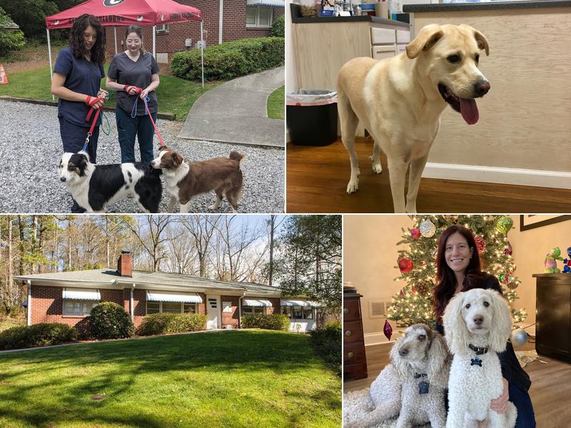 Haynes Bridge Animal Hospital