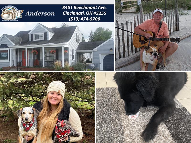 Cincinnati Veterinary Surgical & Wellness Center