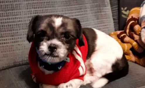 Rodawold Veterinary Services 6791 N 16000E Rd, Momence Illinois 60954