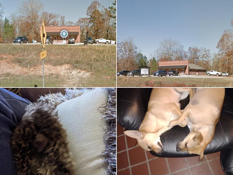 Oakland Veterinary Hospital