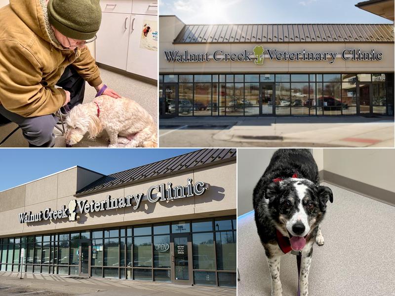 Walnut Creek Veterinary Clinic