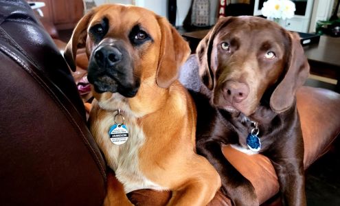 Westmoreland & Slappey Animal Hospital Perry