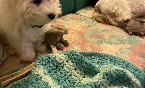 Perry Animal Hospital Perry