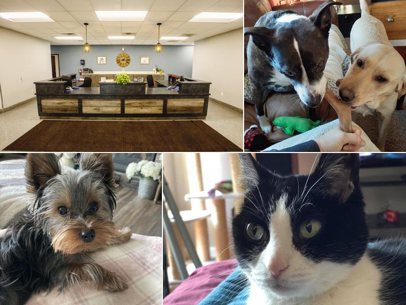 Shakopee Veterinary Clinic