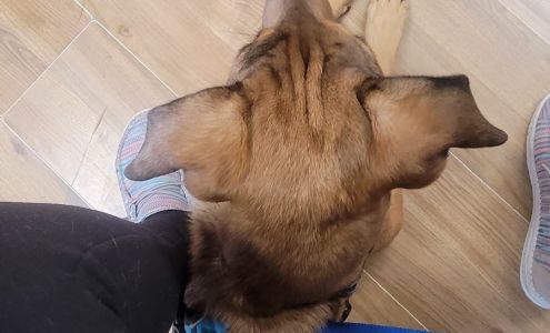 Oakland Veterinary Clinic Oakland