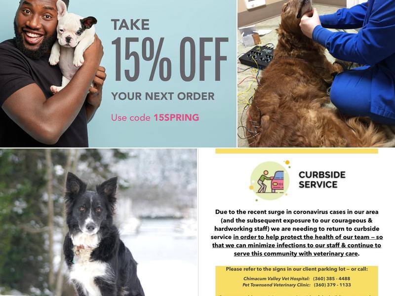 Chimacum Valley Veterinary: Bewig Maya DVM