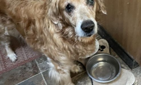 Dr. Kimber Zahller 1985 S Vista Ave, Boise Idaho 83705