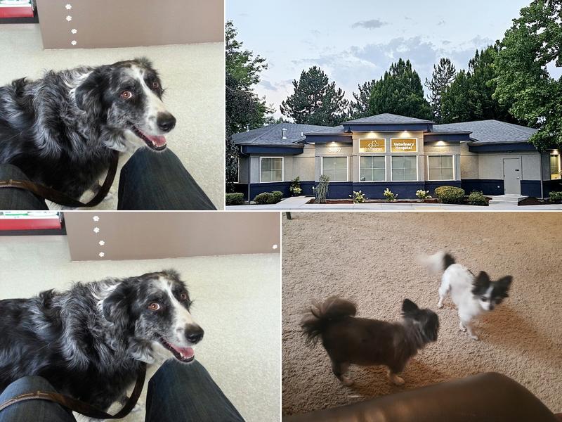 Hendricks Veterinary Hospital: Pesnell Doug DVM