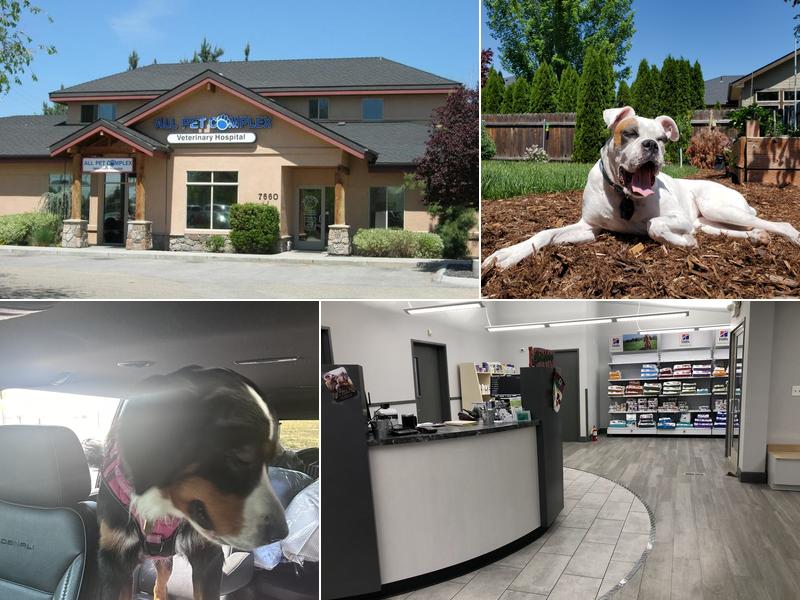 All Pet Complex Veterinary Hospital