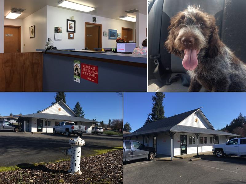 Tenino Veterinary Clinic LLC
