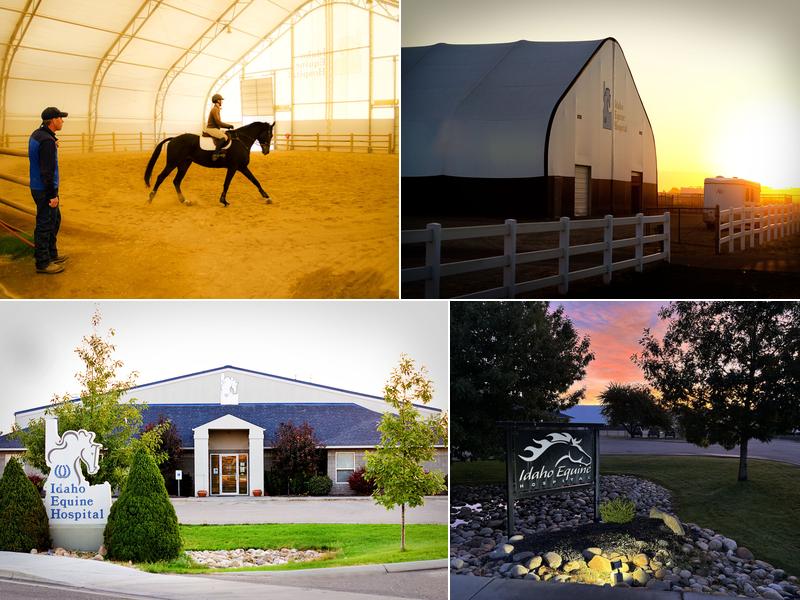 Idaho Equine Hospital