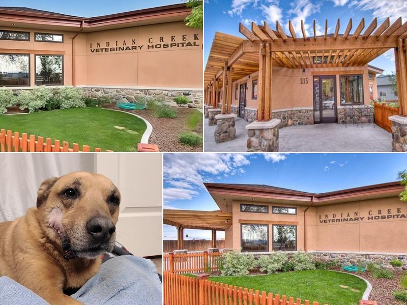 Indian Creek Veterinary