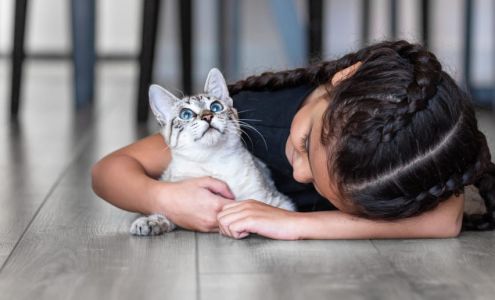 Olympia Pet Emergency