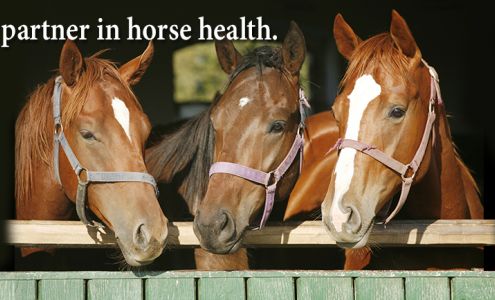 Borders Equine Clinic 7518 Lanktree Ln, Middleton Idaho 83644