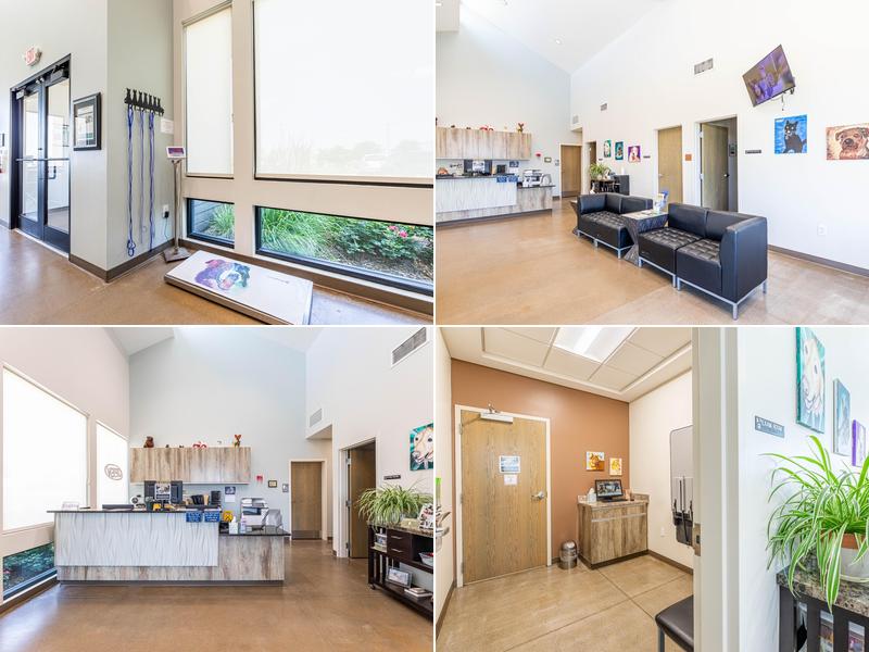 Urgent Pet Care Of Papillion