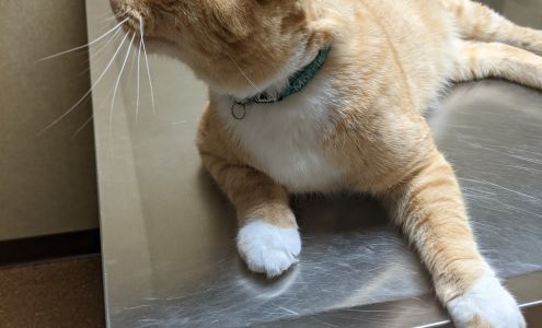 Millard Veterinary Clinics