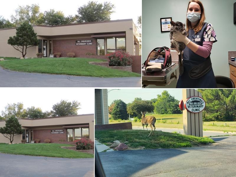 All Creatures Veterinary Clinic