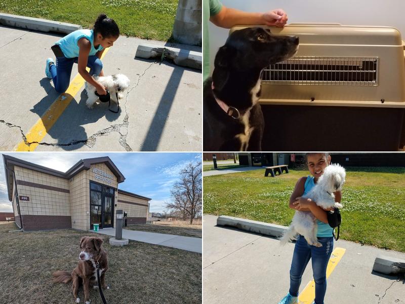 Offutt Veterinary Clinic