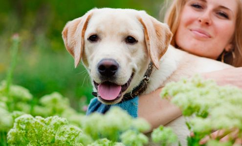 Porter Ridge Veterinary Clinic