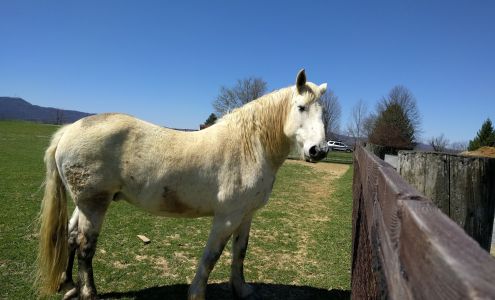 Valley Vet Clinic Sinks Grove