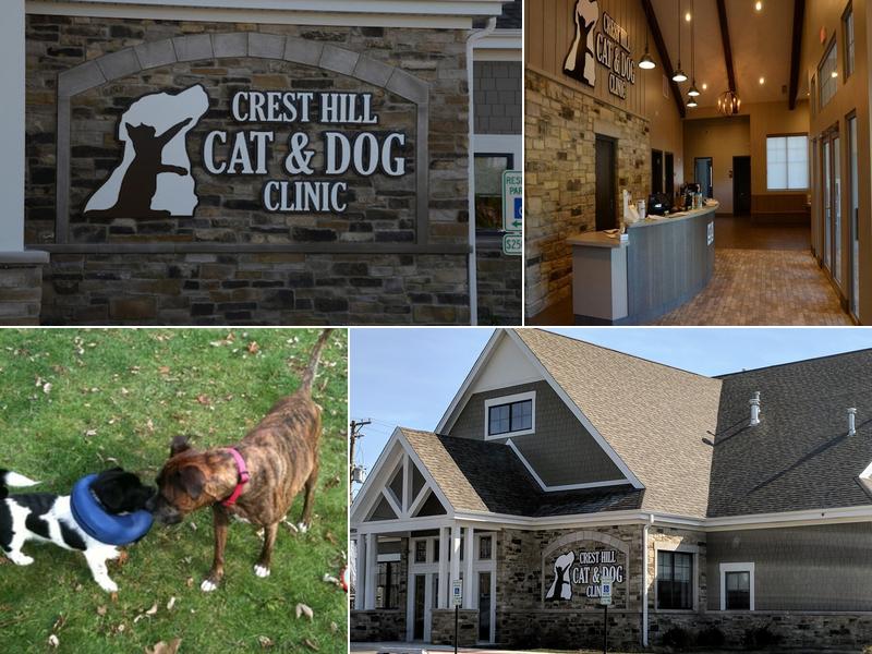 CREST HILL CAT AND DOG