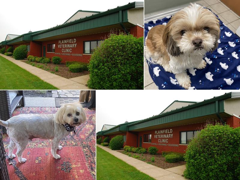 Plainfield Veterinary Clinic