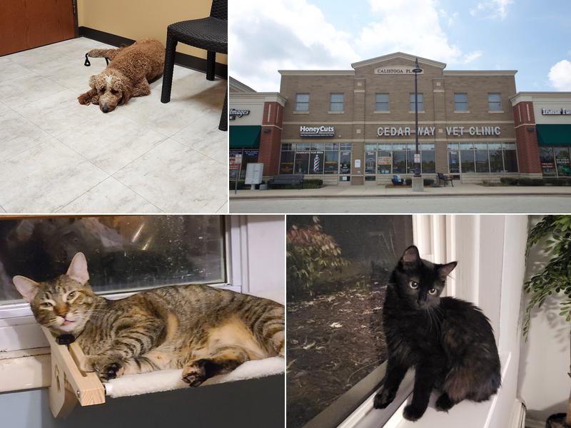 Cedar Way Veterinary Clinic