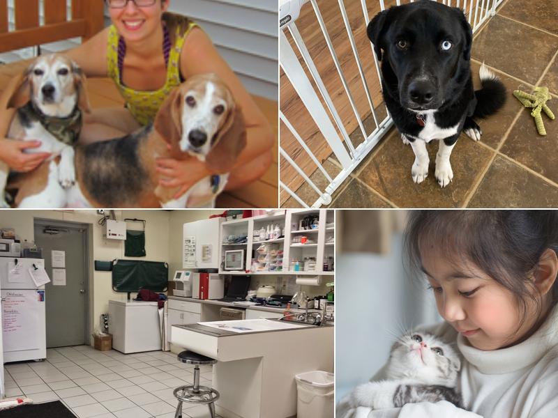 Caton Crossing Animal Hospital