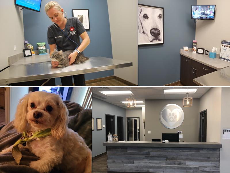 Foxmoor Veterinary Clinic