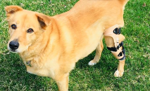 Lockport Animal Hospital