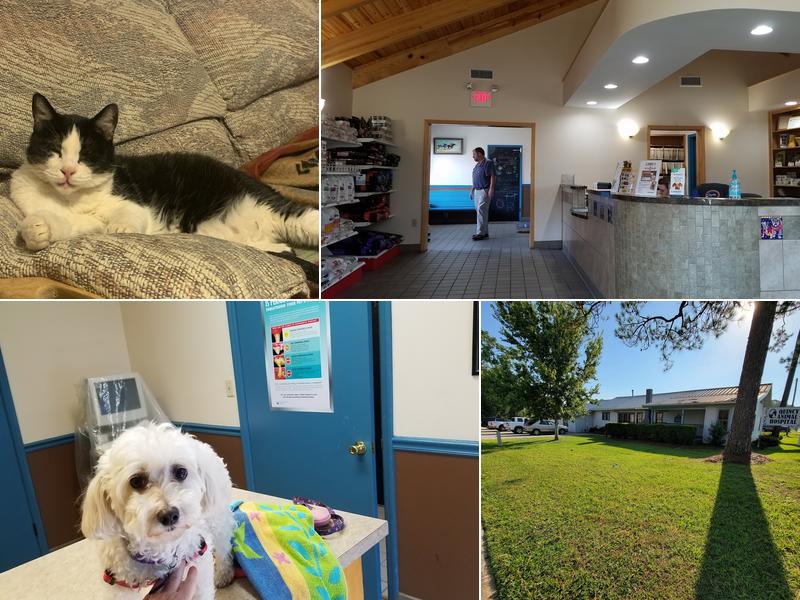 Quincy Animal Hospital