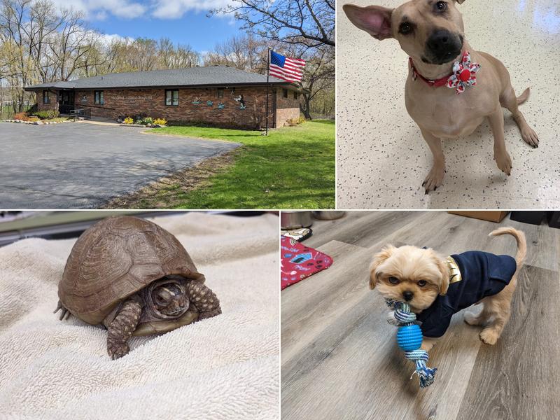 Mulford Animal Hospital