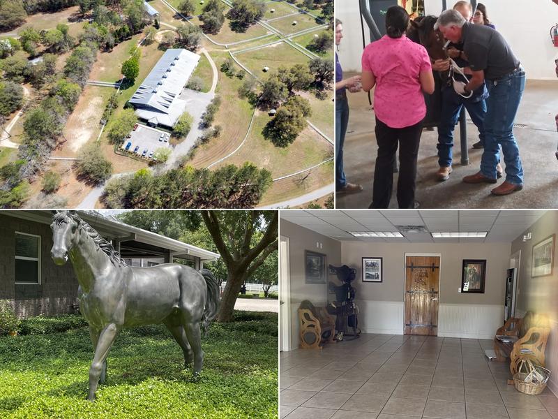 AVS Equine Medical and Surgical Hospital