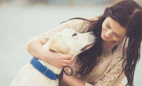 Dames Point Animal Hospital