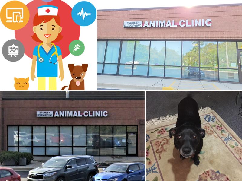 Brumley Veterinary Clinic PC