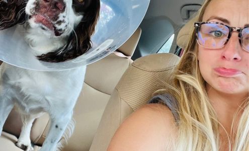 Deerwood Animal Clinic: Mc Millian Grant DVM