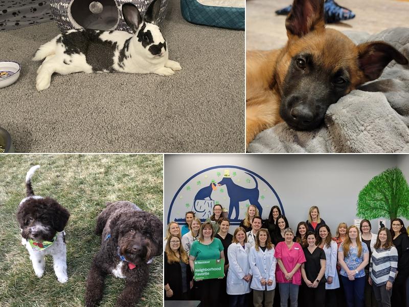 Danada Veterinary Hospital