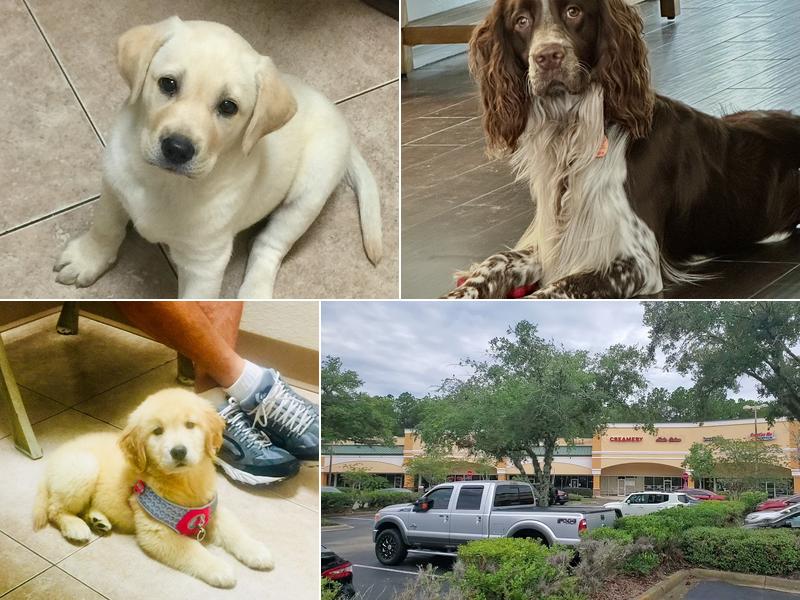 Animal Medical Clinic