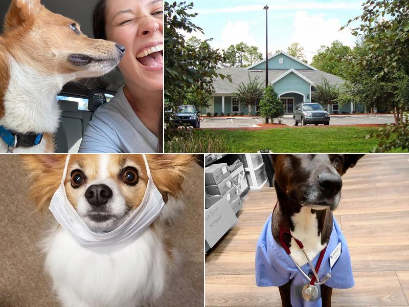 Bartram Trail Veterinary Hospital